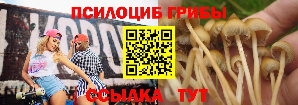 Ипатово  Галлюциногенные грибы мицелий  Вход с VPN 